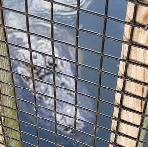 Meet your Posher, Da lady